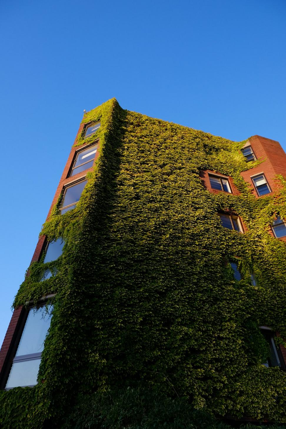 Evergreen Commons